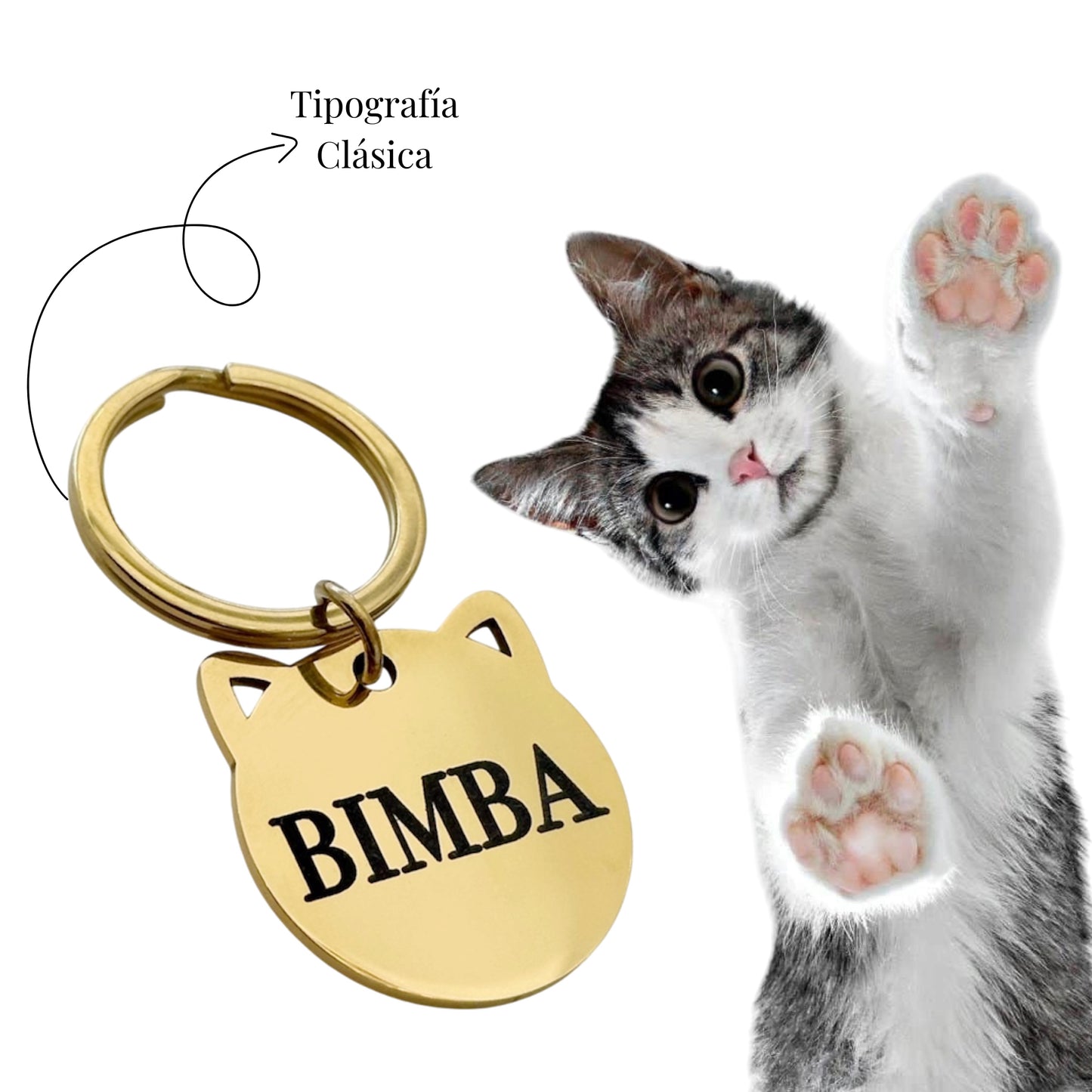 PLACA PARA GATO