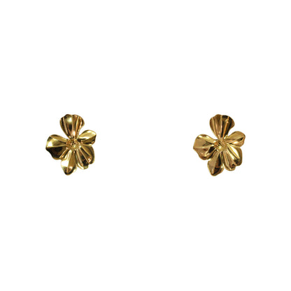 ARETES FLOR LISA