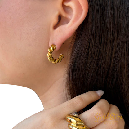 ARETES TORSAL
