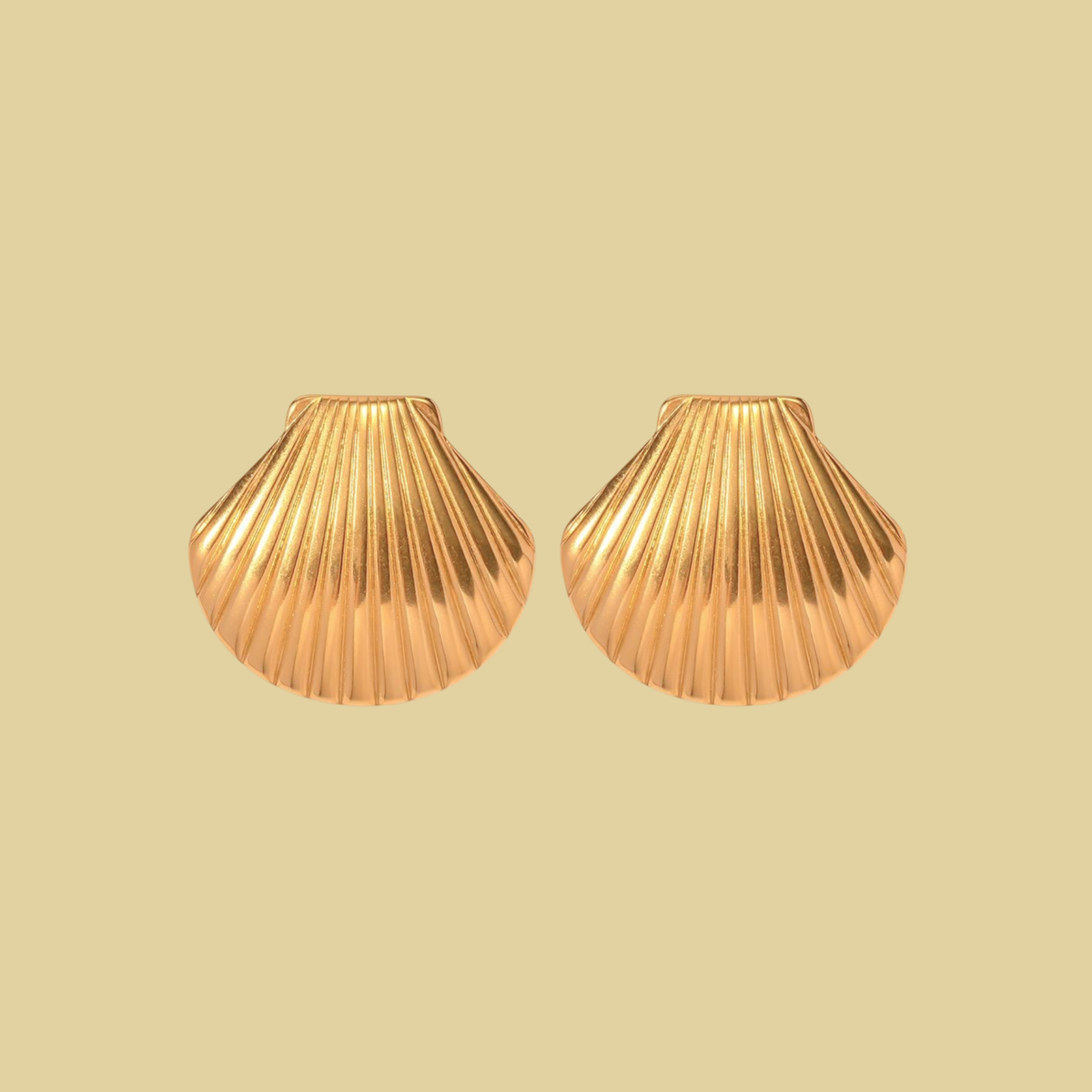 ARETES CONCHA MEDIANA